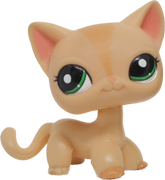 #1764 Shorthair Cat